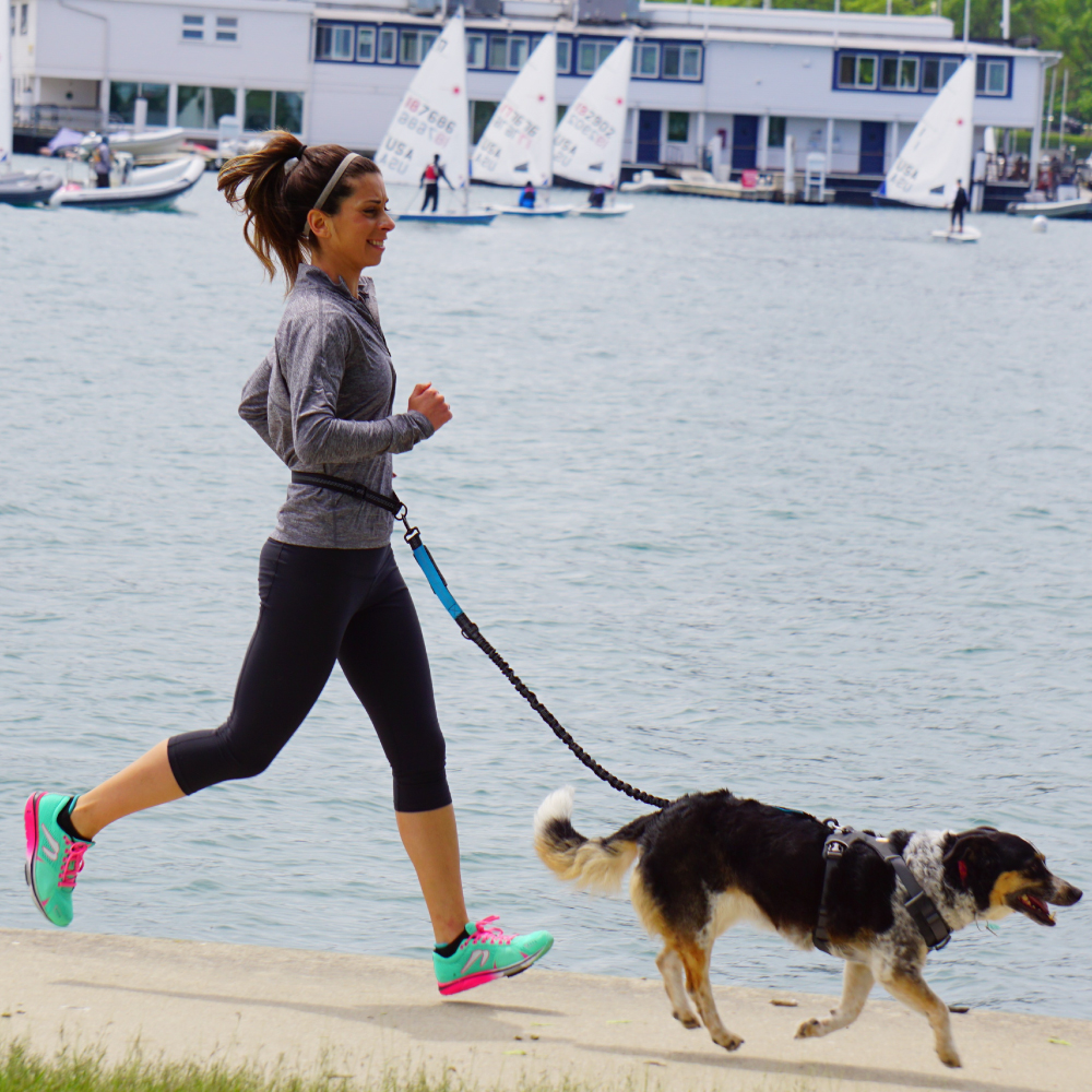 Hand Free Dog Leash for Pet Wa - Running Gear Belt avis et prix