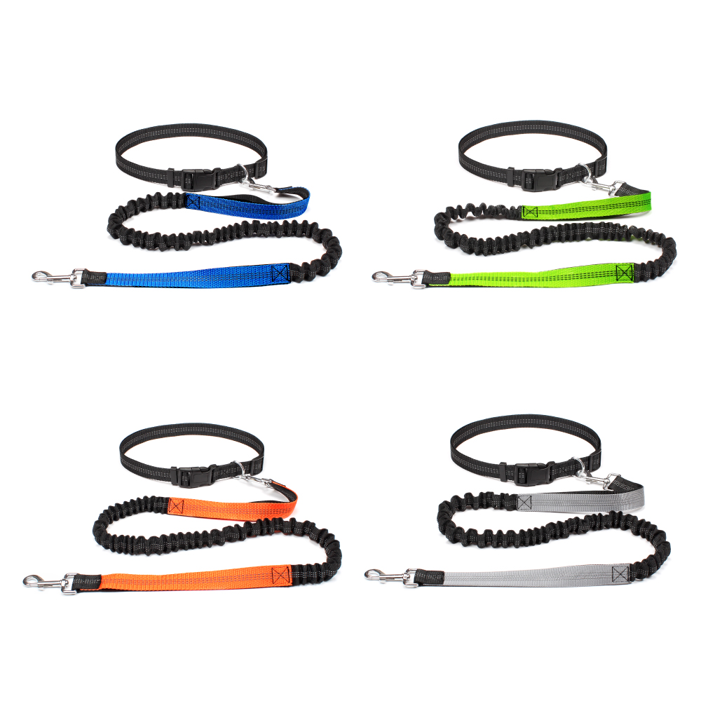 Hand Free Dog Leash for Pet Wa - Running Gear Belt avis et prix