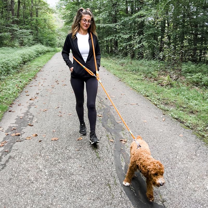 Reflective Hands-Free Dog Leas - Running Gear Belt avis et prix