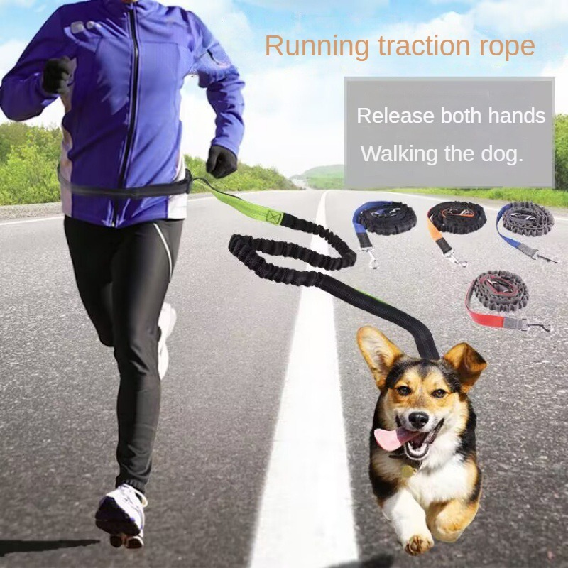 Hand Free Dog Leash for Pet Wa - Running Gear Belt avis et prix