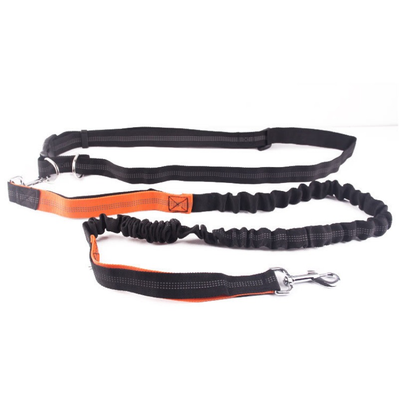 Hand Free Dog Leash for Pet Wa - Running Gear Belt avis et prix